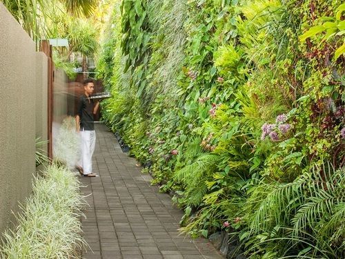 Ivilla By Ekosistem Seminyak  Exterior photo